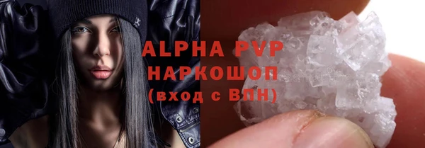 spice Беломорск