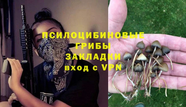 spice Беломорск