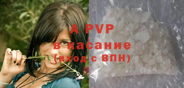 spice Беломорск