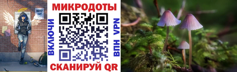 Купить  Десногорск  Галлюциногенные грибы прущие грибы 
